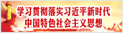 学习贯彻习近平新时代中国特色社会主义思想